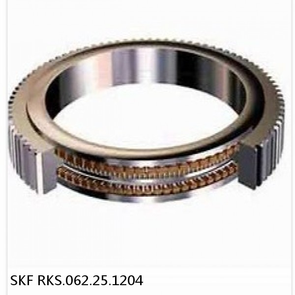 RKS.062.25.1204 SKF Slewing Ring Bearings