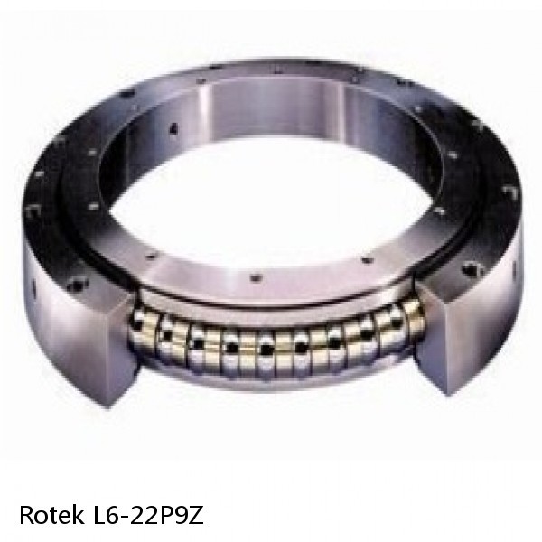 L6-22P9Z Rotek Slewing Ring Bearings