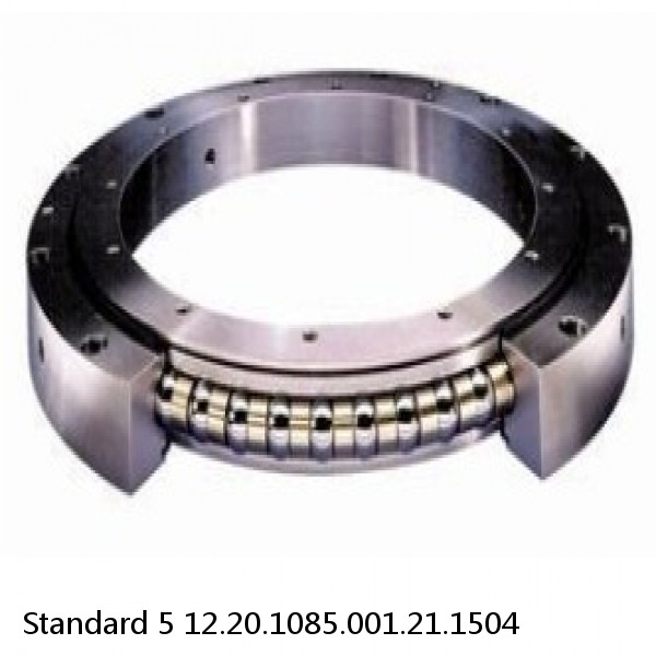12.20.1085.001.21.1504 Standard 5 Slewing Ring Bearings