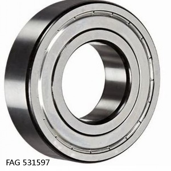 531597 FAG Cylindrical Roller Bearings