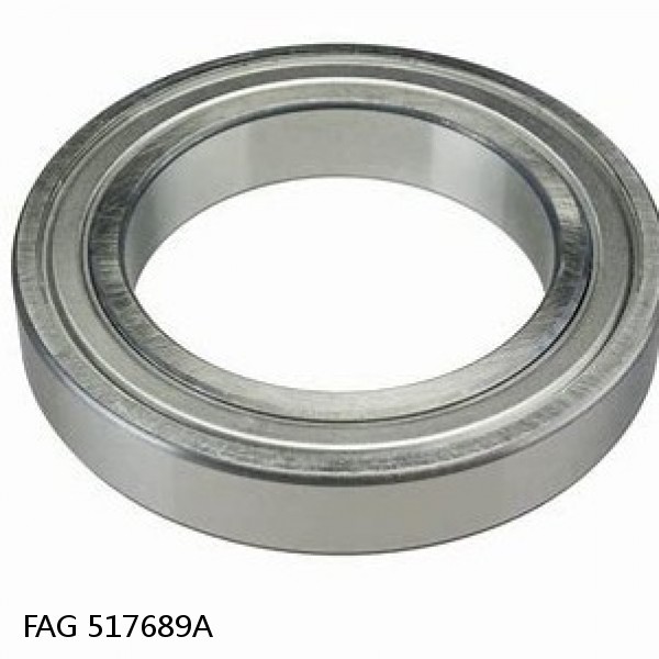 517689A FAG Cylindrical Roller Bearings