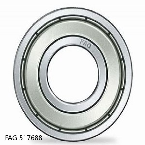 517688 FAG Cylindrical Roller Bearings