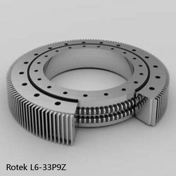 L6-33P9Z Rotek Slewing Ring Bearings