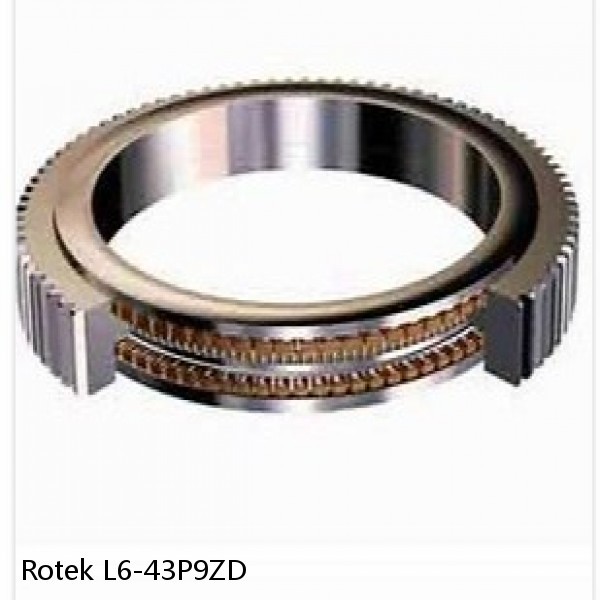 L6-43P9ZD Rotek Slewing Ring Bearings