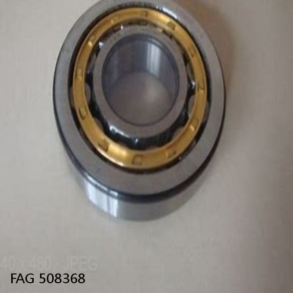 508368 FAG Cylindrical Roller Bearings