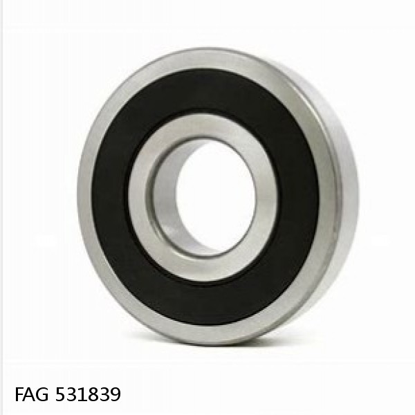 531839 FAG Cylindrical Roller Bearings