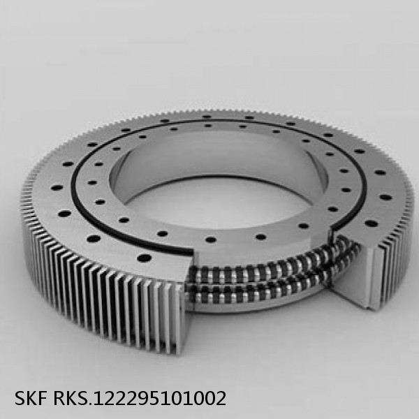 RKS.122295101002 SKF Slewing Ring Bearings