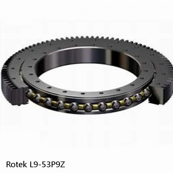 L9-53P9Z Rotek Slewing Ring Bearings