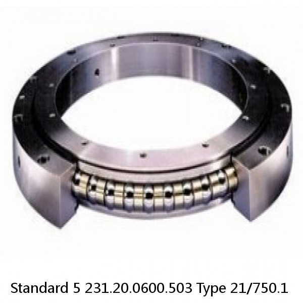 231.20.0600.503 Type 21/750.1 Standard 5 Slewing Ring Bearings