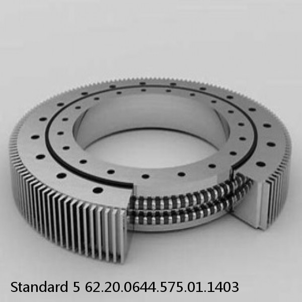 62.20.0644.575.01.1403 Standard 5 Slewing Ring Bearings