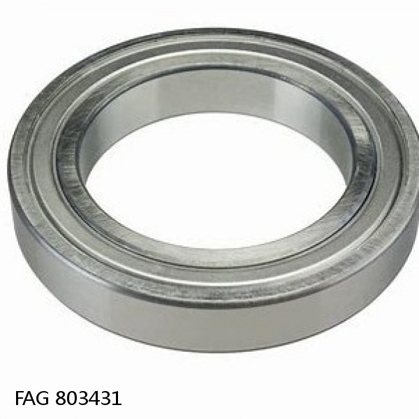 803431 FAG Cylindrical Roller Bearings