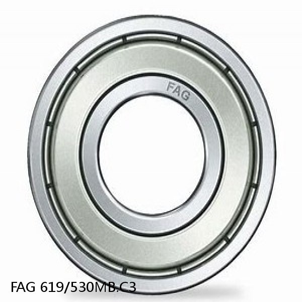 619/530MB.C3 FAG Deep Groove Ball Bearings