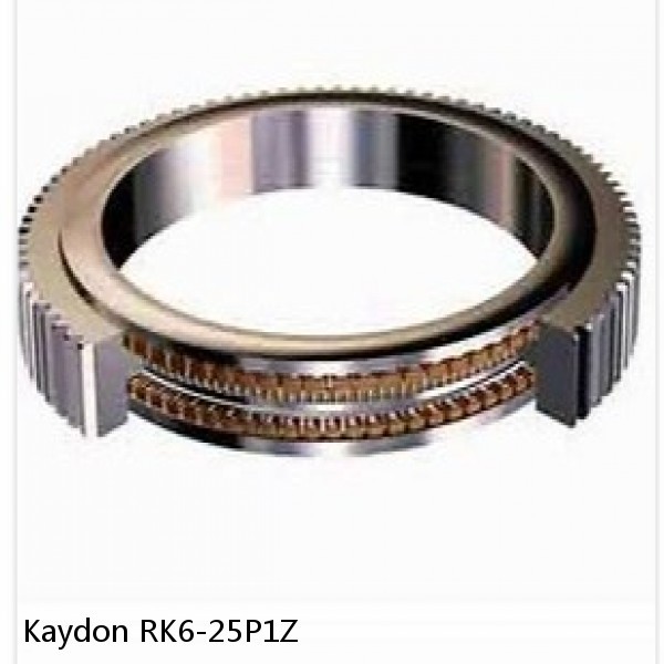 RK6-25P1Z Kaydon Slewing Ring Bearings