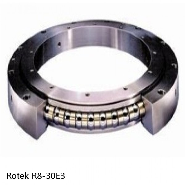 R8-30E3 Rotek Slewing Ring Bearings