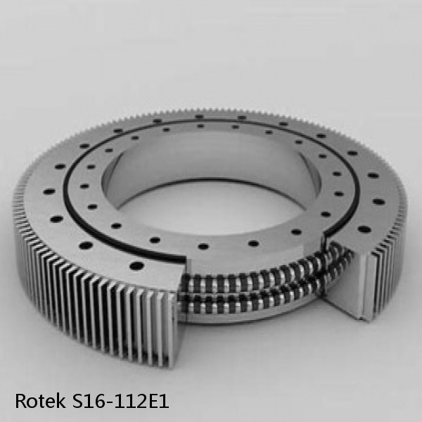 S16-112E1 Rotek Slewing Ring Bearings