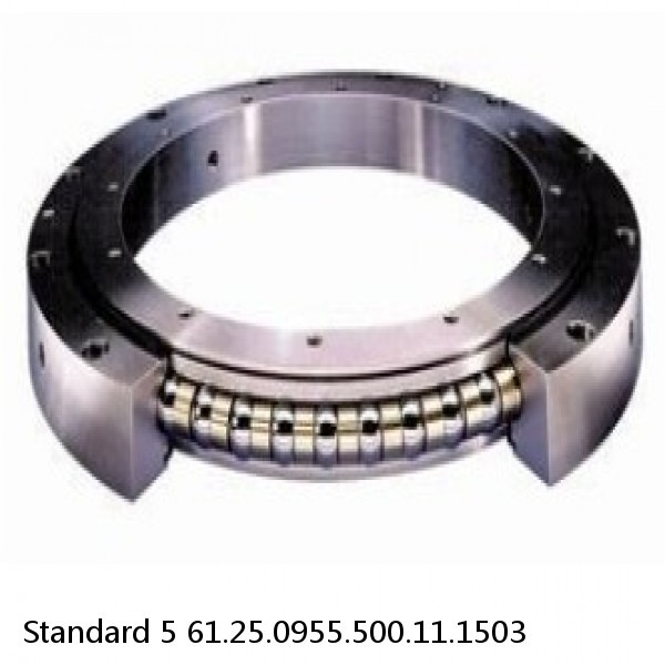 61.25.0955.500.11.1503 Standard 5 Slewing Ring Bearings