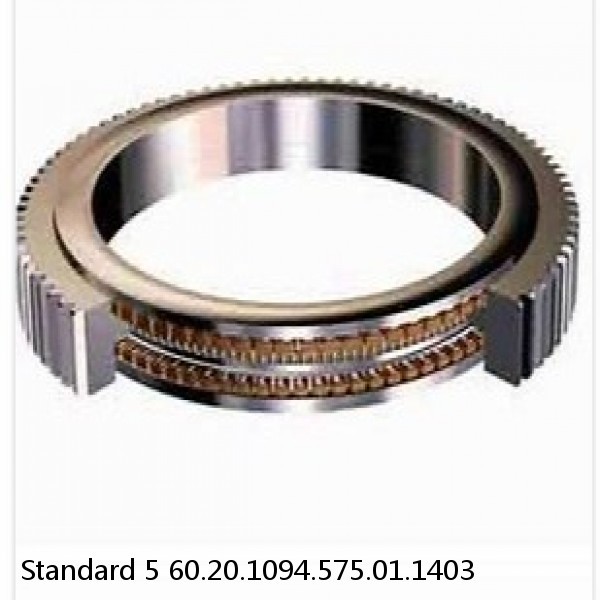 60.20.1094.575.01.1403 Standard 5 Slewing Ring Bearings