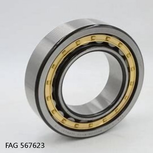 567623 FAG Cylindrical Roller Bearings