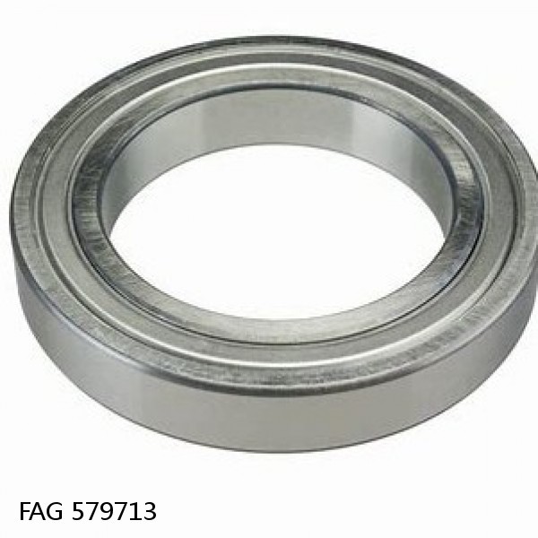 579713 FAG Cylindrical Roller Bearings