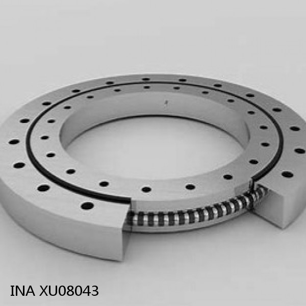 XU08043 INA Slewing Ring Bearings