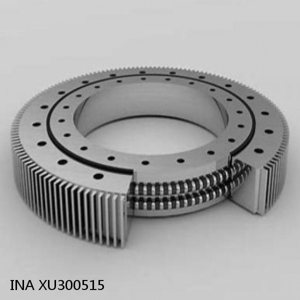 XU300515 INA Slewing Ring Bearings