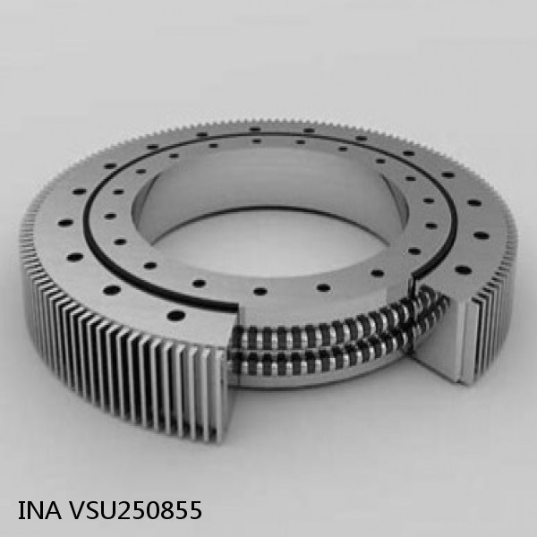 VSU250855 INA Slewing Ring Bearings