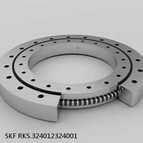 RKS.324012324001 SKF Slewing Ring Bearings