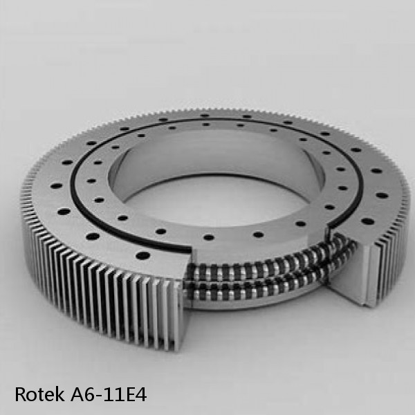 A6-11E4 Rotek Slewing Ring Bearings