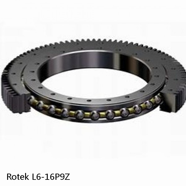 L6-16P9Z Rotek Slewing Ring Bearings