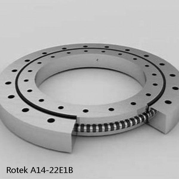 A14-22E1B Rotek Slewing Ring Bearings