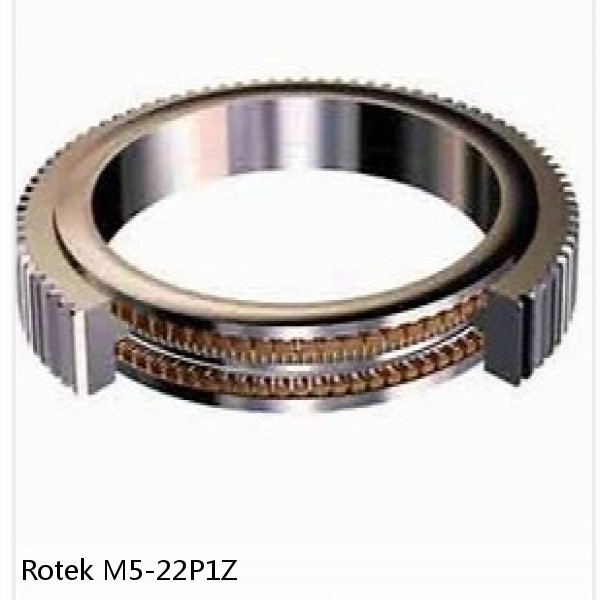 M5-22P1Z Rotek Slewing Ring Bearings