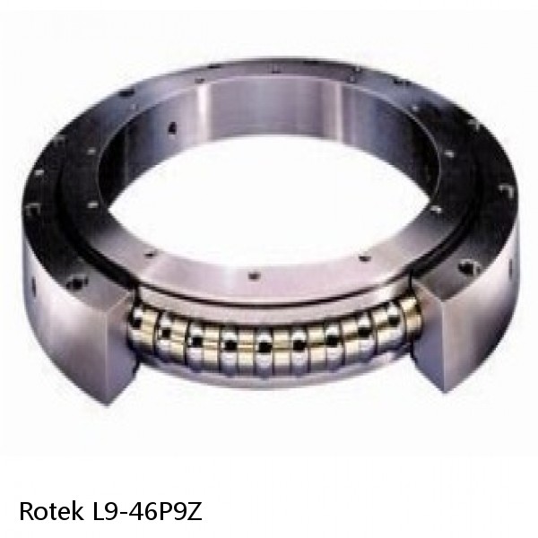 L9-46P9Z Rotek Slewing Ring Bearings