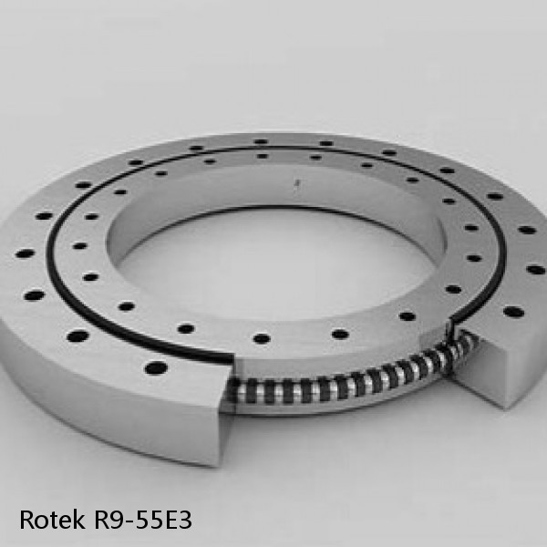 R9-55E3 Rotek Slewing Ring Bearings