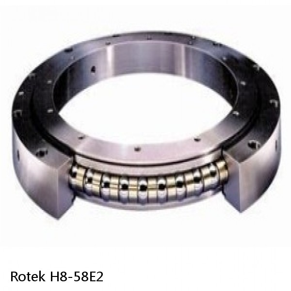 H8-58E2 Rotek Slewing Ring Bearings