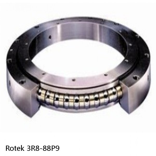 3R8-88P9 Rotek Slewing Ring Bearings