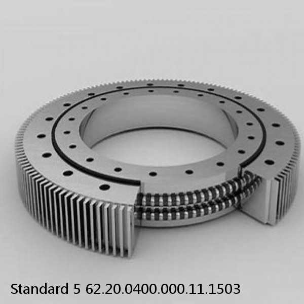 62.20.0400.000.11.1503 Standard 5 Slewing Ring Bearings