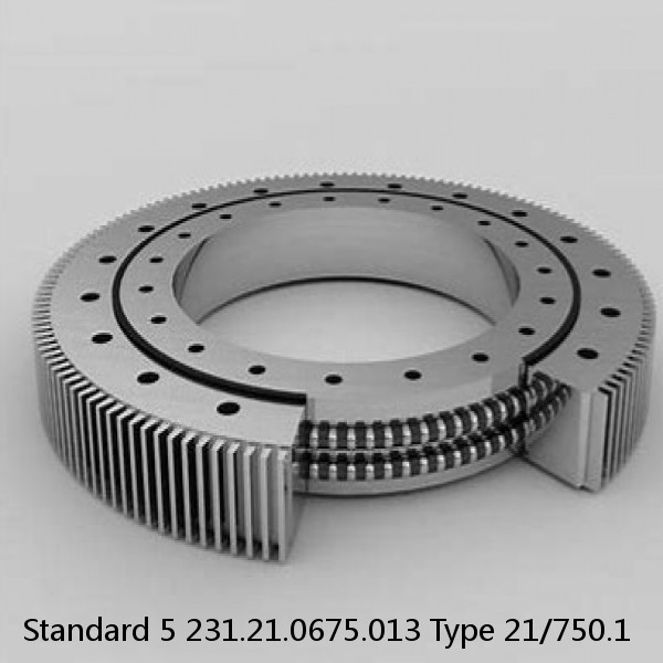 231.21.0675.013 Type 21/750.1 Standard 5 Slewing Ring Bearings