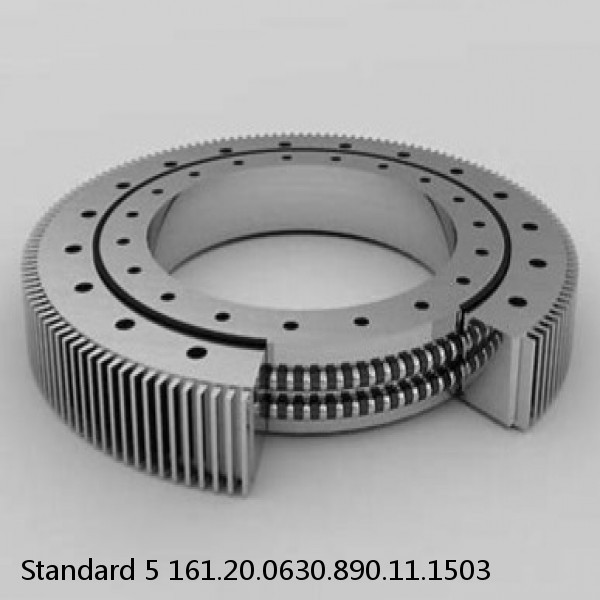 161.20.0630.890.11.1503 Standard 5 Slewing Ring Bearings