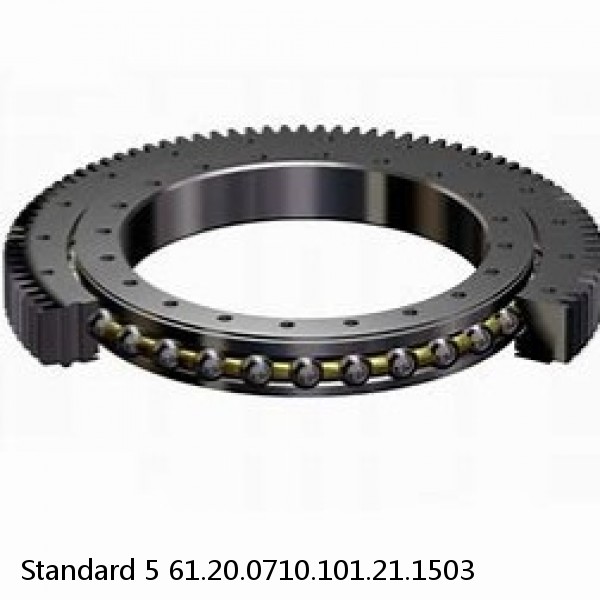 61.20.0710.101.21.1503 Standard 5 Slewing Ring Bearings