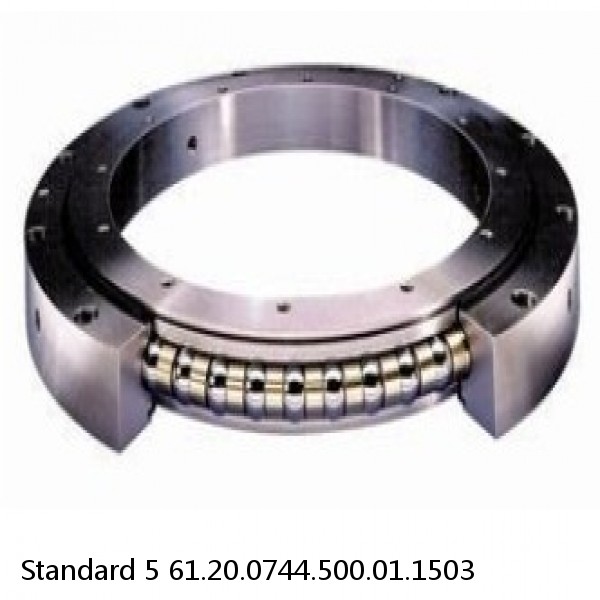 61.20.0744.500.01.1503 Standard 5 Slewing Ring Bearings