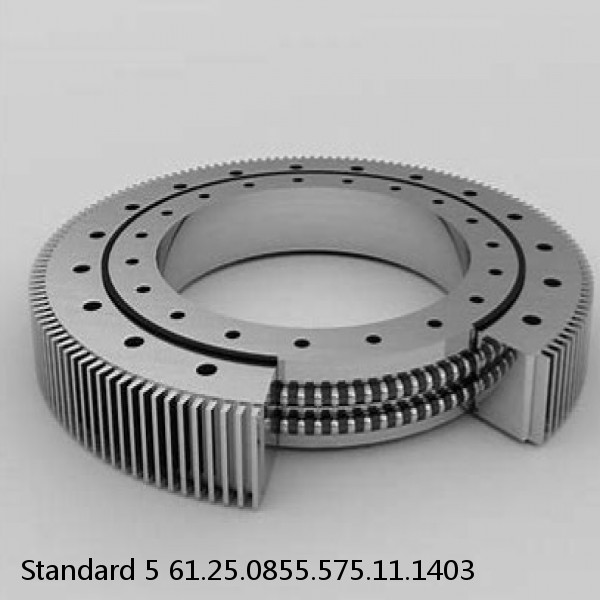 61.25.0855.575.11.1403 Standard 5 Slewing Ring Bearings