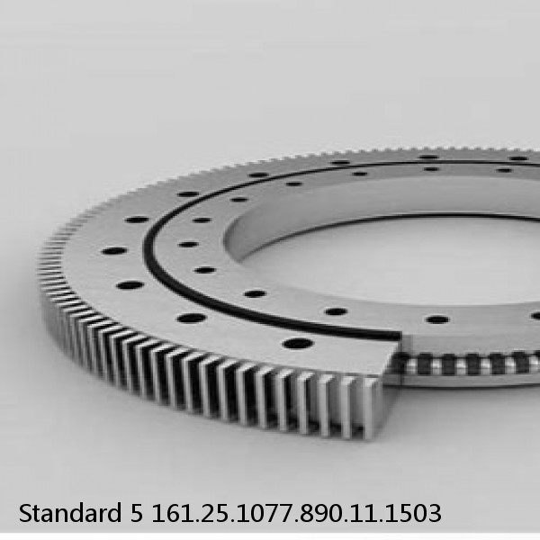 161.25.1077.890.11.1503 Standard 5 Slewing Ring Bearings