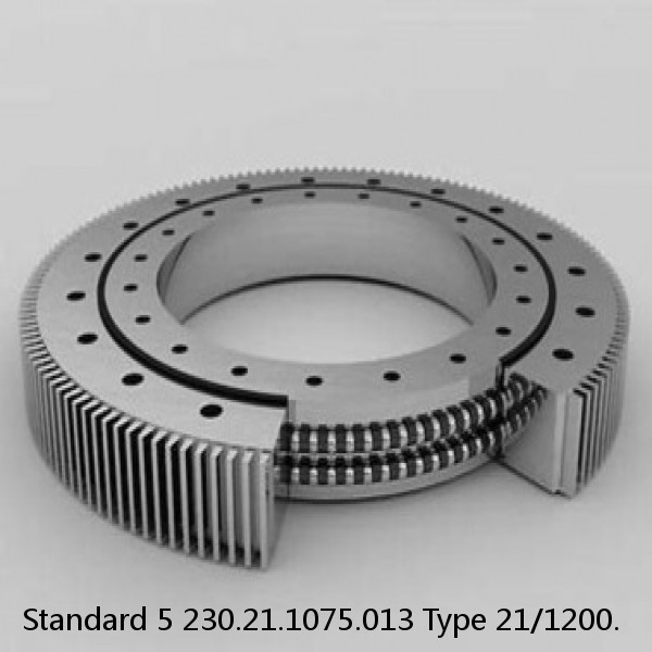 230.21.1075.013 Type 21/1200. Standard 5 Slewing Ring Bearings