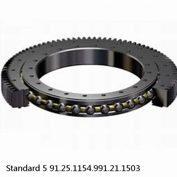 91.25.1154.991.21.1503 Standard 5 Slewing Ring Bearings