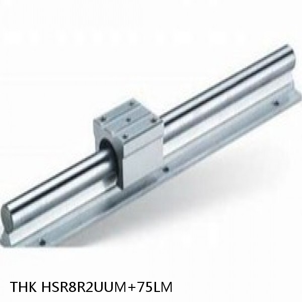 HSR8R2UUM+75LM THK Miniature Linear Guide Stocked Sizes HSR8 HSR10 HSR12 Series