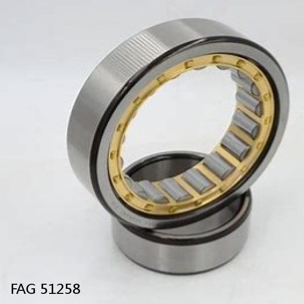 51258 FAG Cylindrical Roller Bearings