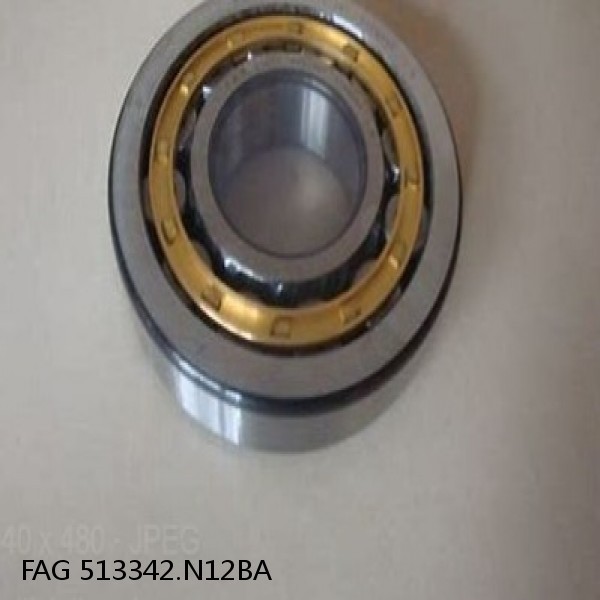 513342.N12BA FAG Cylindrical Roller Bearings