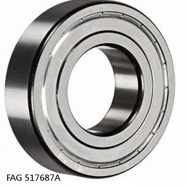 517687A FAG Cylindrical Roller Bearings