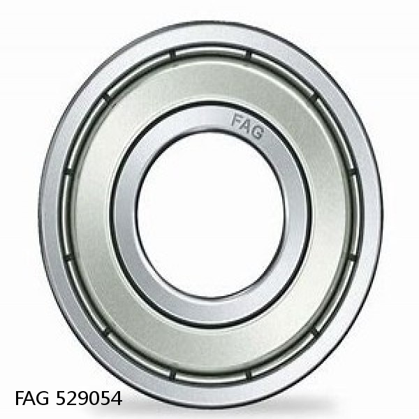 529054 FAG Cylindrical Roller Bearings