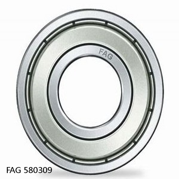 580309 FAG Cylindrical Roller Bearings